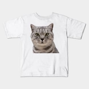 Silver Tabby Cat Kids T-Shirt